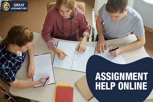 Assignment Help Online