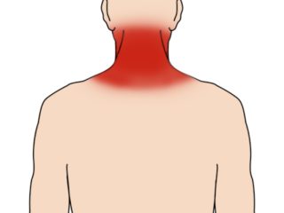 A Comprehensive Guide to Neck and Spine Care