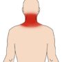 A Comprehensive Guide to Neck and Spine Care